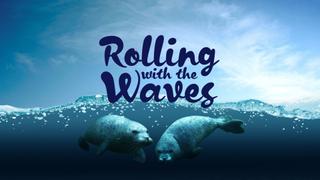 Coasts: Rolling With the Waves