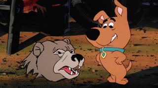 The Hairy Scare of the Devil Bear