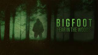 Bigfoot: Fear in the Woods