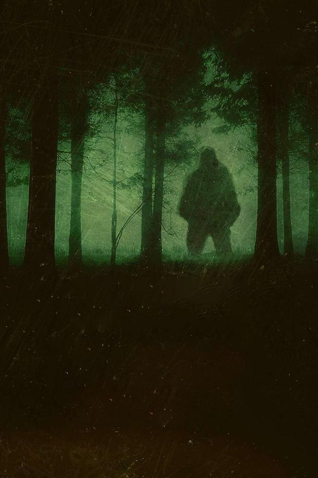 Bigfoot: Fear in the Woods