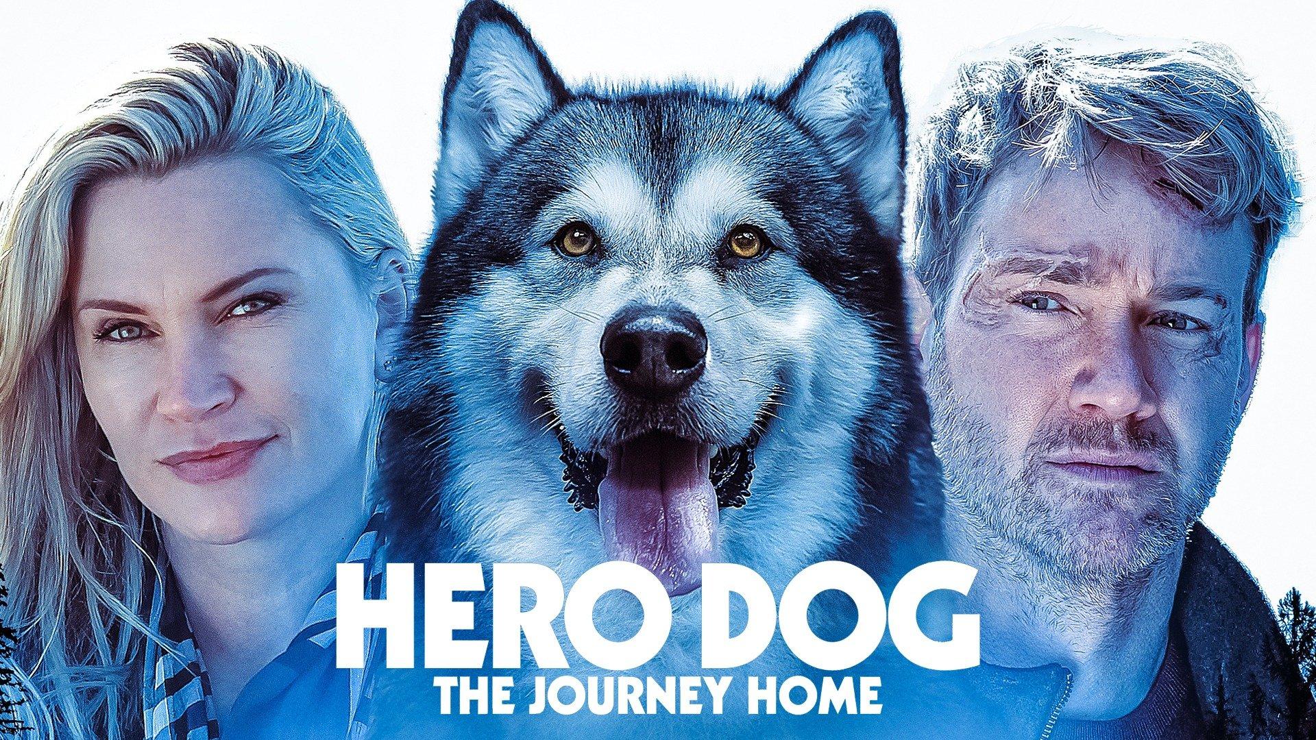 Is The Movie Hero Dog The Journey Home Based On A True Story Is The Movie Hero Dog The Journey Home Based On A True Story
