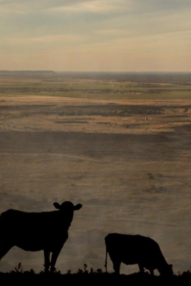 Cowboss Oklahoma