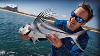 The Search for Animal Fin The Search for Animal Fin