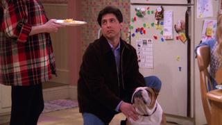 The Dog