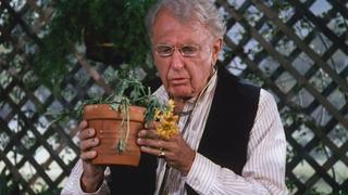 Marvin's Garden
