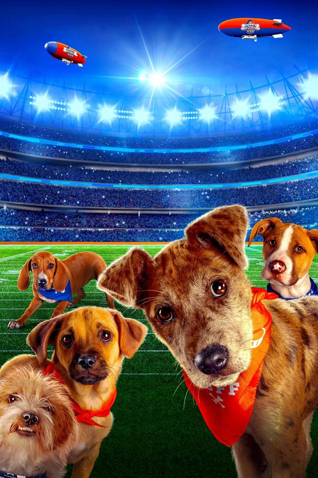 Puppy Bowl XVII