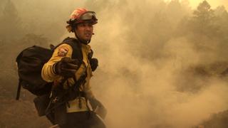 Napa Burning