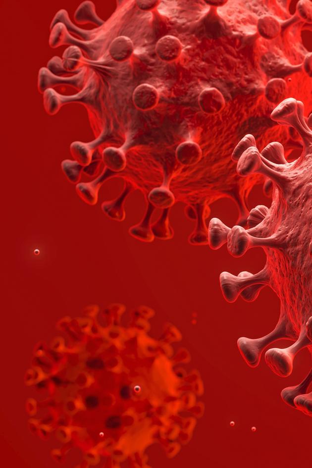 Virus Hunting: Cave to COVID