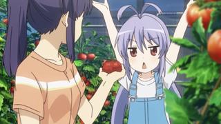 I Turned Into Santa to Deliver Tomatoes