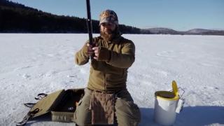 Landlocked Salmon & Chaga