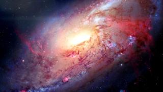 What's Your Science IQ?