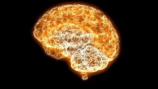 Science Intelligence