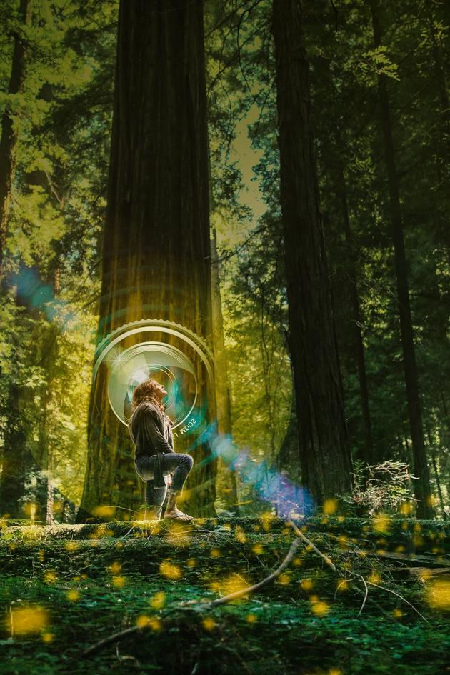 Nature Through Her Eyes