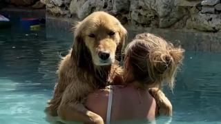 Best Pets of the Month