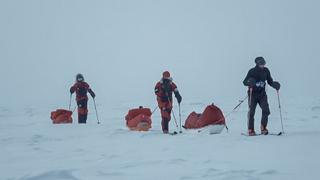 Welcome to the White Continent