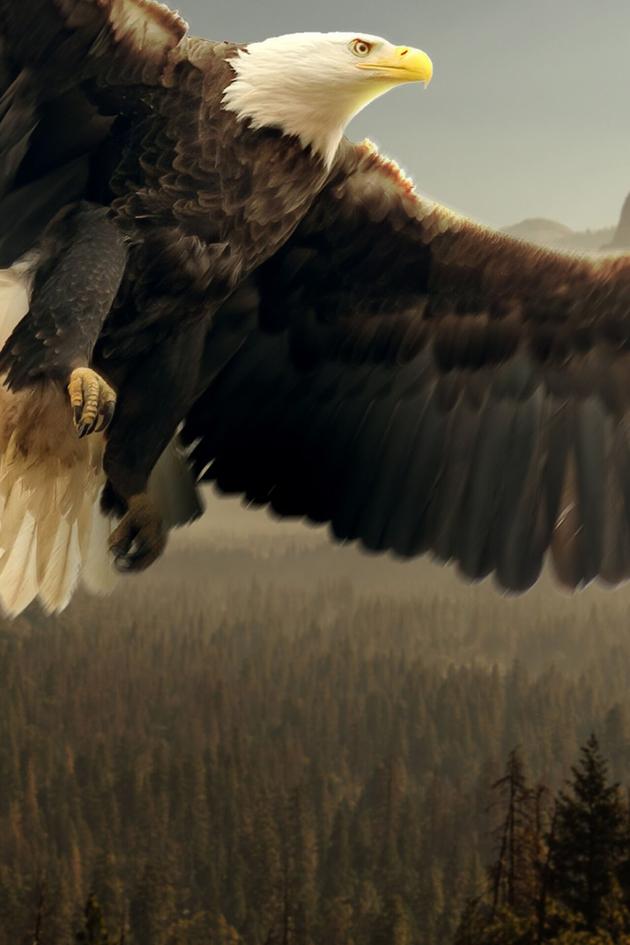 America's National Parks