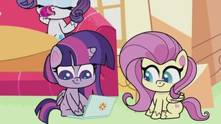 Magical Mare-story Tour; Life of Pie