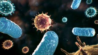 Aliens of the Microcosmos