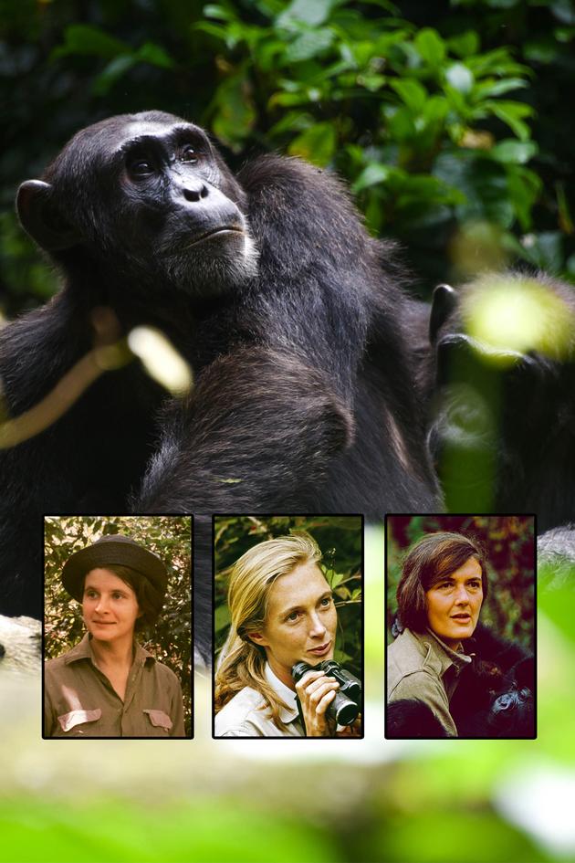 The Trimates Watch Trimates Streaming on Philo (Free Trial)