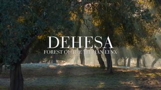 Dehesa: Forest Of The Iberian Lynx