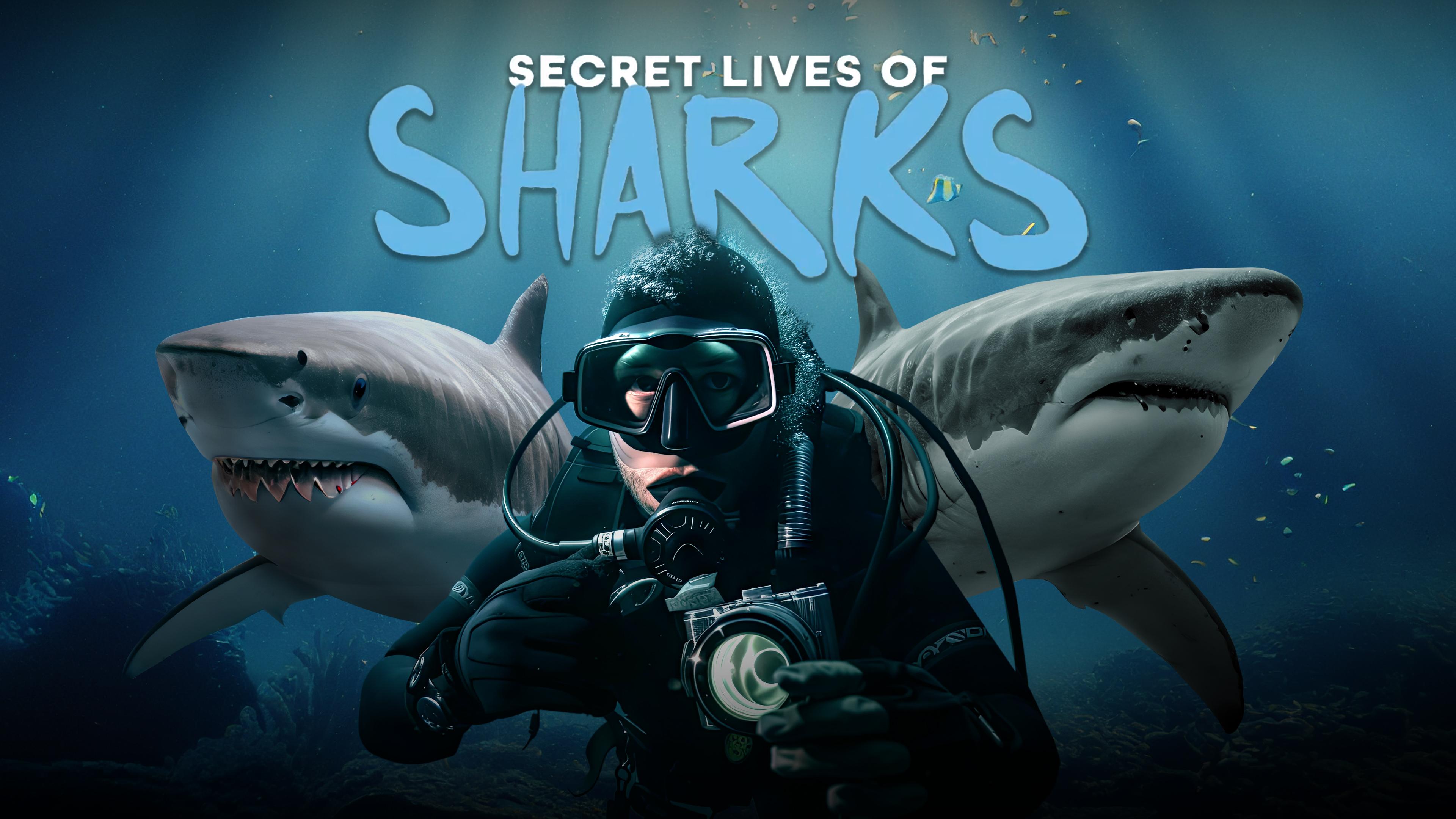 The Biggest Secret From Shark Bae'S Onlyfans Leak - obfqea7