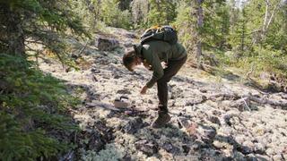 Nuclear Detectives