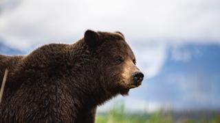 Alaska: Last American Frontier