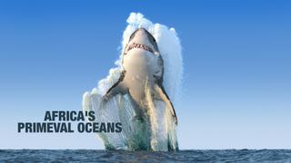 Africa's Primeval Oceans