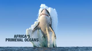  watch Africa's Primeval Oceans