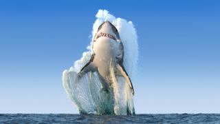 Africa's Primeval Oceans