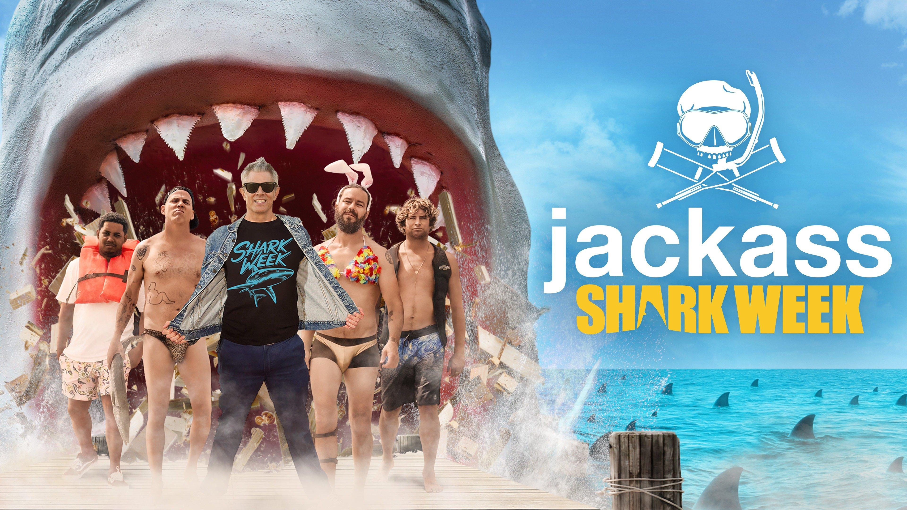 Watch Jackass Shark Week Streaming Online On Philo Free Trial 