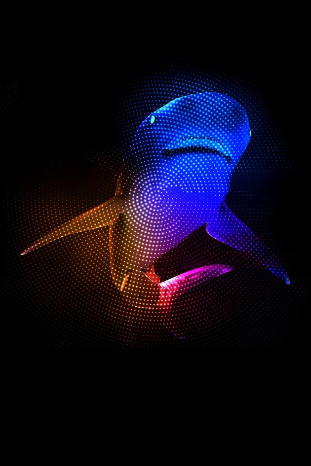 Mothersharker