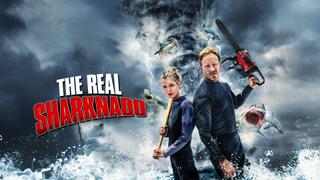 The Real Sharknado