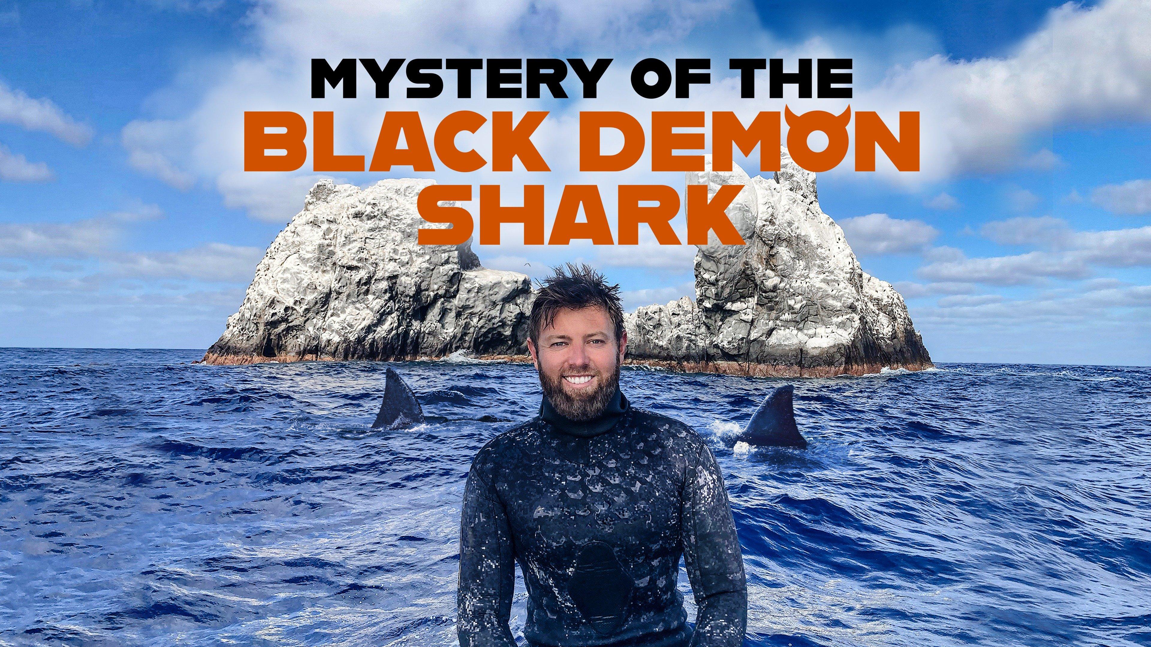 Sharkbae Leaks: The Mystery Deepens - tu8nerl