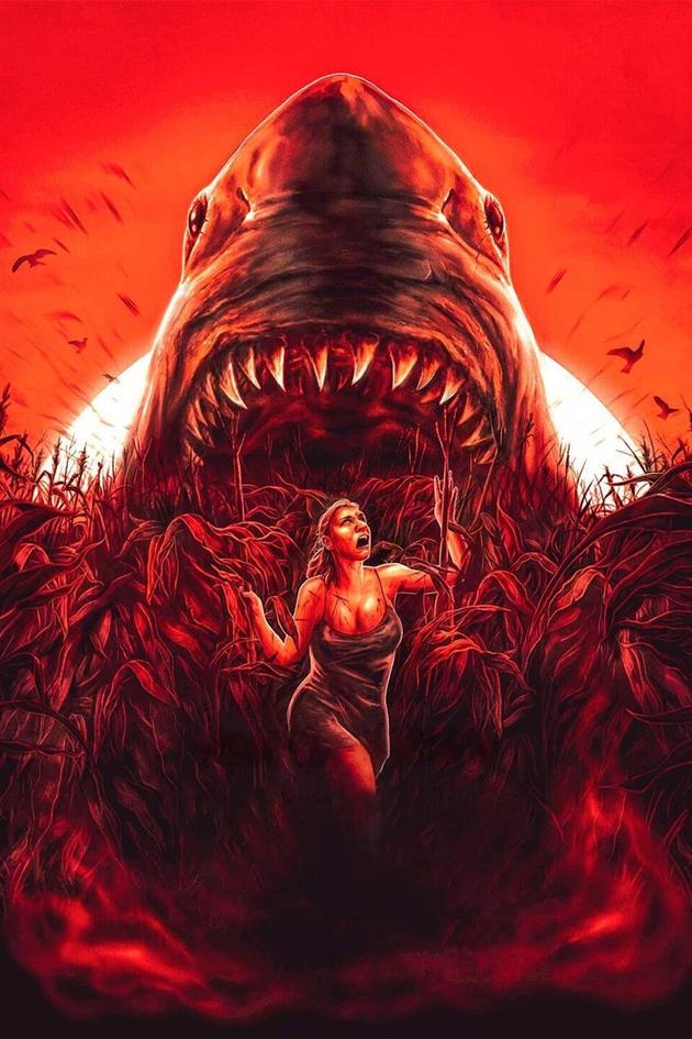 Sharks of the Corn