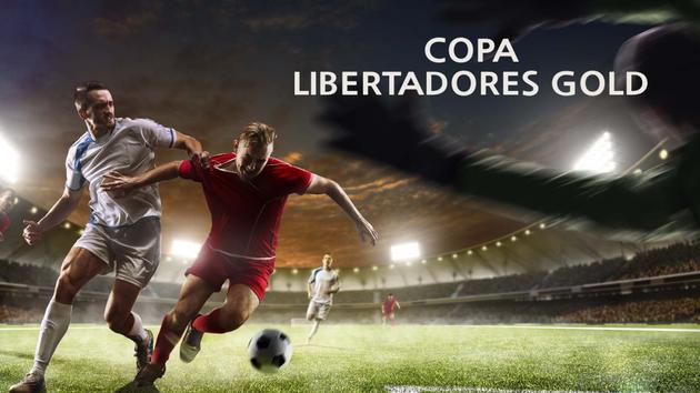 Copa Libertadores Gold