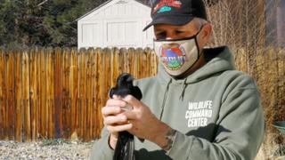 Bare Hands Rescue
