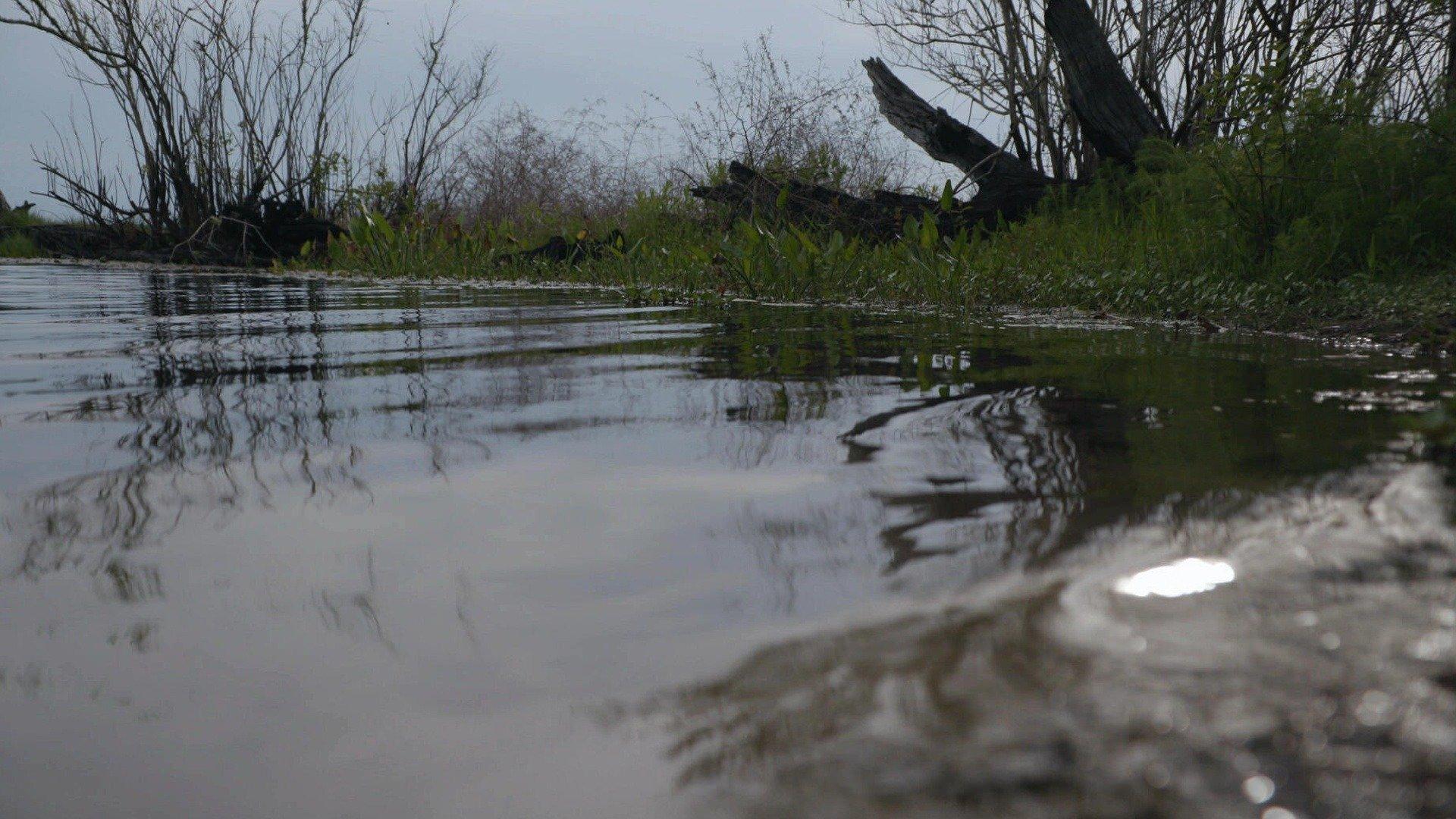 Cold Case Files: The Voice in the Lake