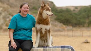 Pound Pups to Top Dogs