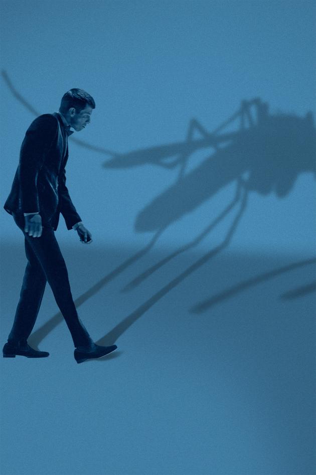 Mosquito State