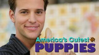 America's Cutest Puppies