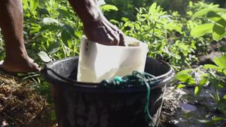 Water
