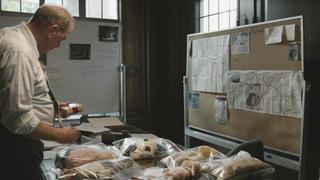 The Doll Collector