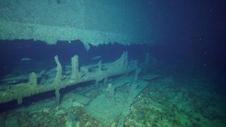 Scotland's Sea Secrets