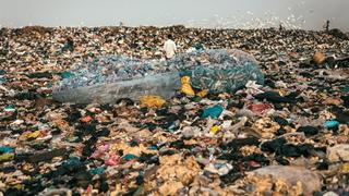 Repairing Our Planet: Build a Waste-Free World
