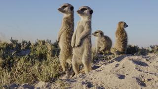 South Africa