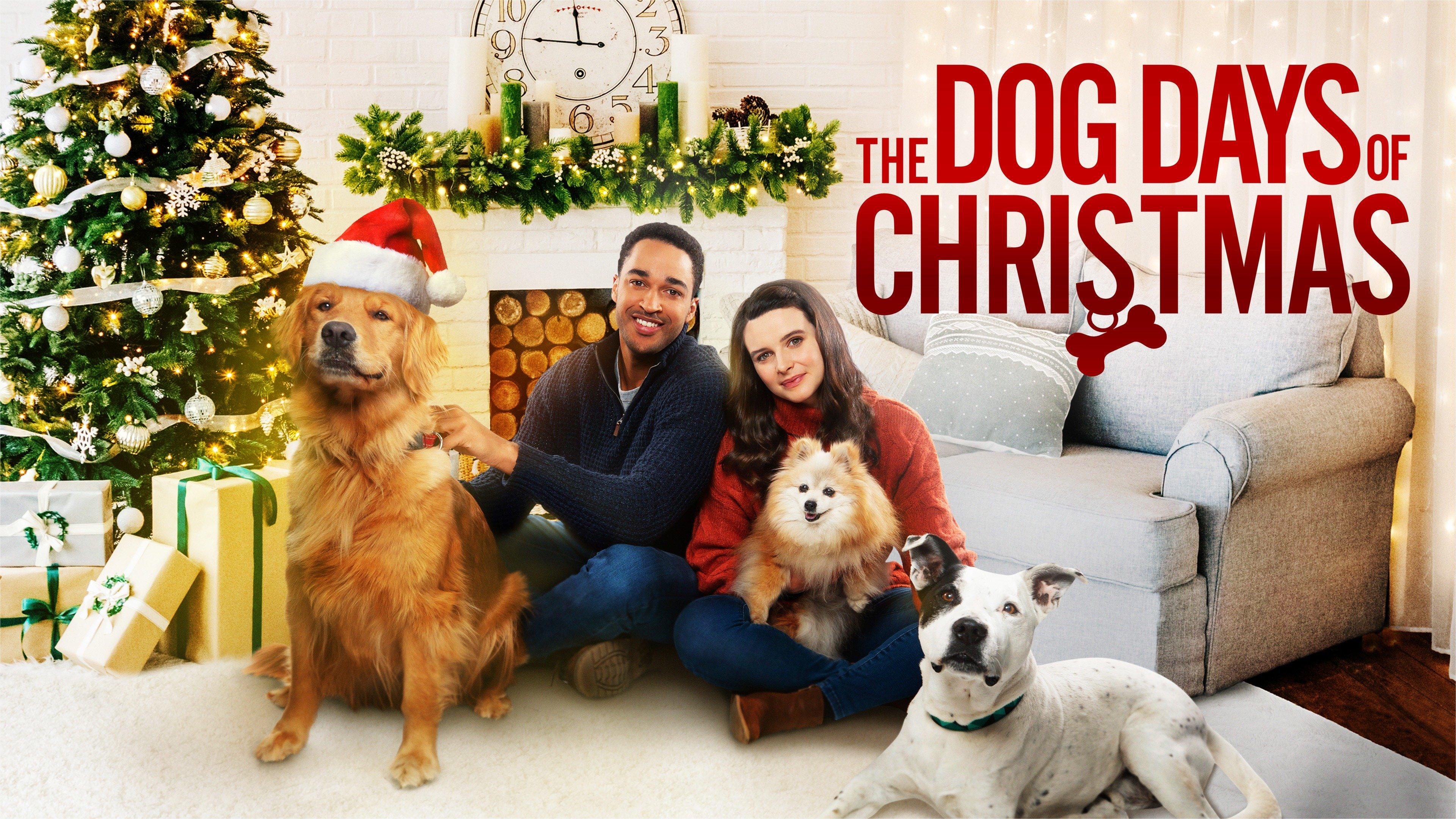 Watch The Dog Days of Christmas Streaming Online on Philo (Free Trial)