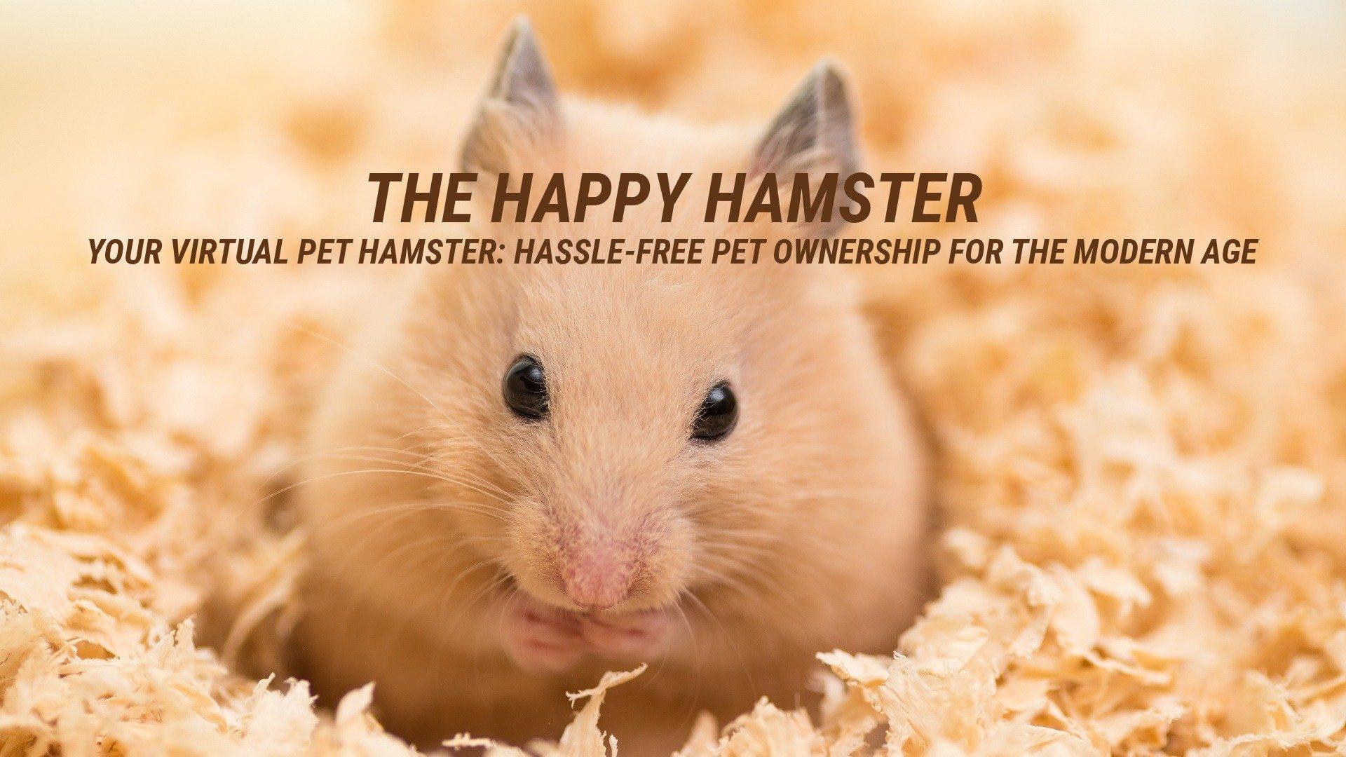 Watch The Happy Hamster Your Virtual Pet Hamster HassleFree Pet