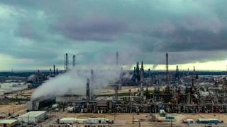 Toxic Wasteland