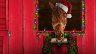 Ace & the Christmas Miracle